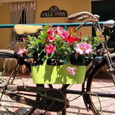Hotel Pina