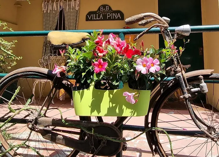 Otel Pina