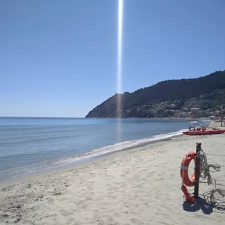 Pina